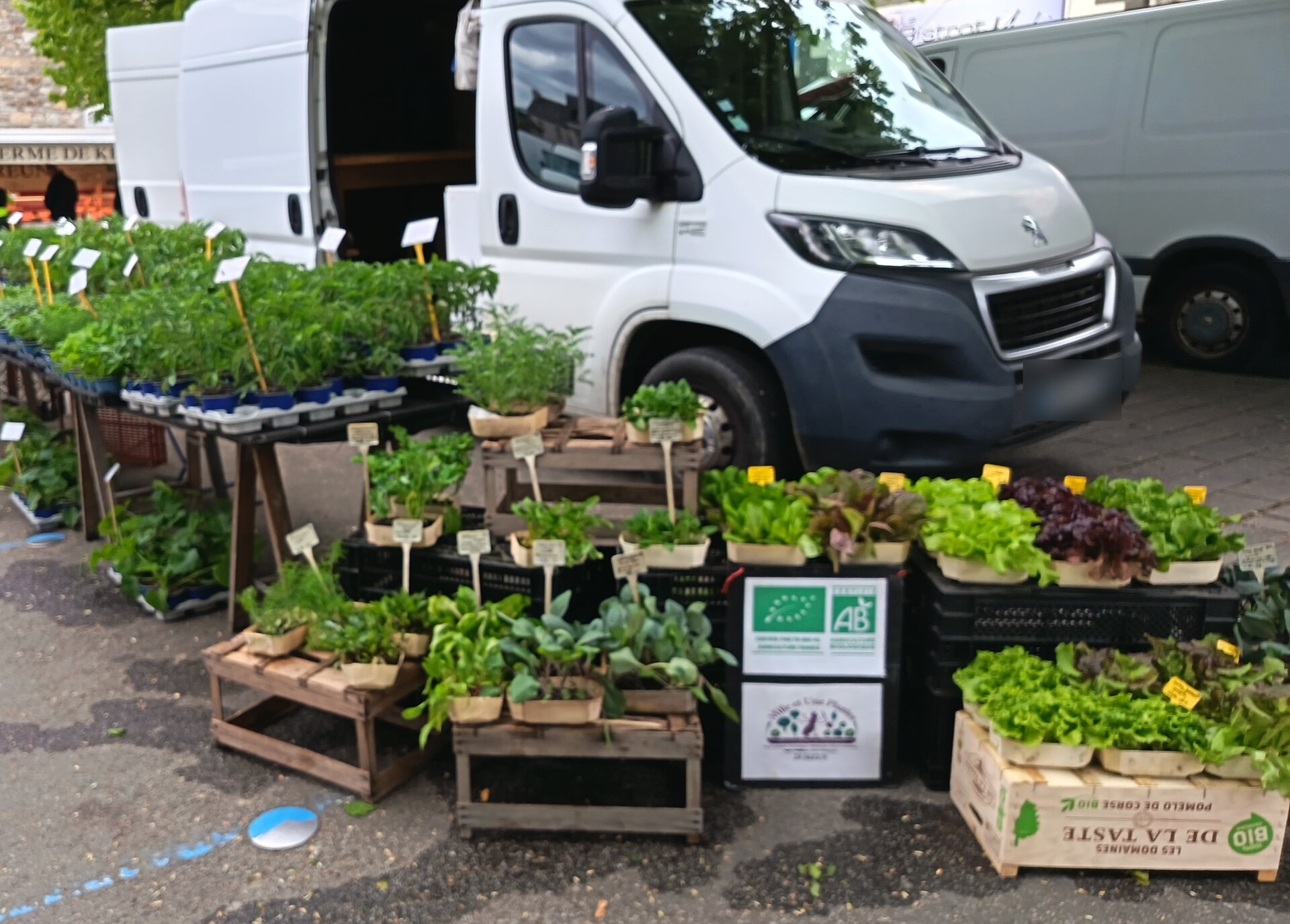 marche-mille-et-une-plantes - Mille et Une Plantes marche-mille-et-une-plantes