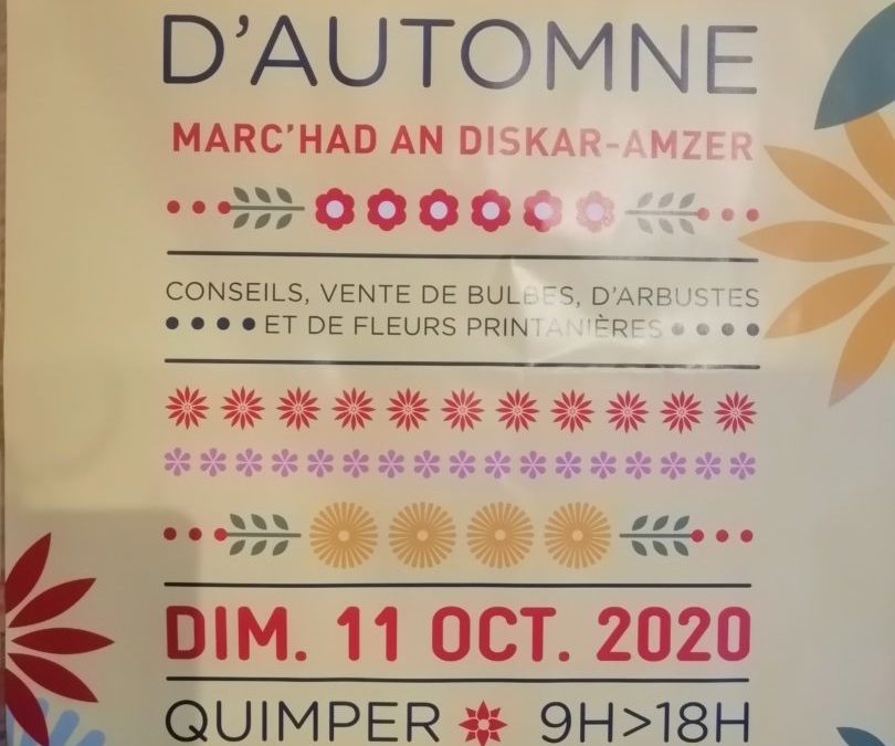 marche d’automne, Quimper