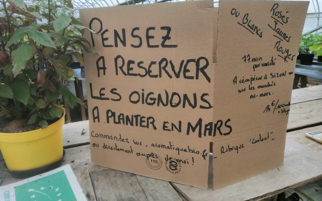 réservez vos oignons à planter en mars