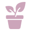 potted-plant