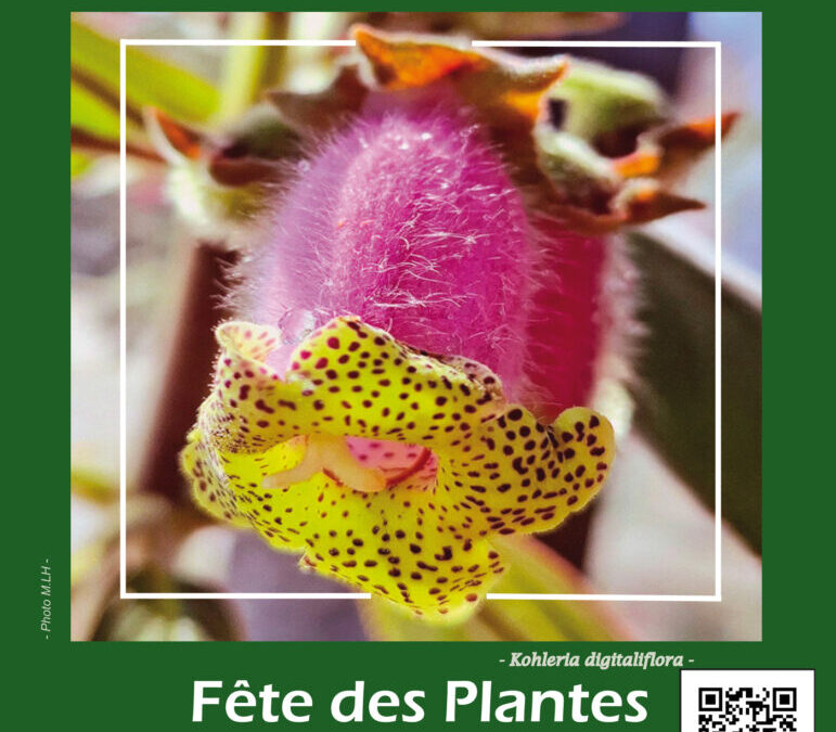 foires de printemps